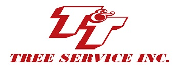 T&T Tree Service